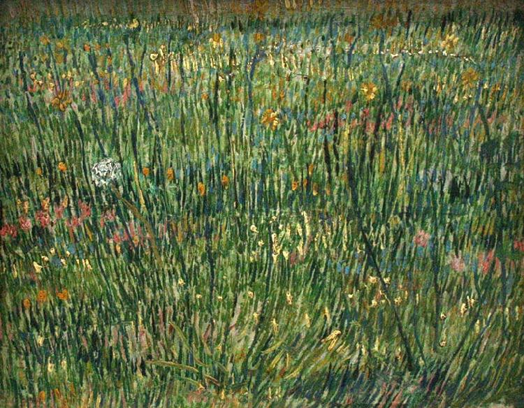 Vincent Van Gogh Patch of Grass oil painting image